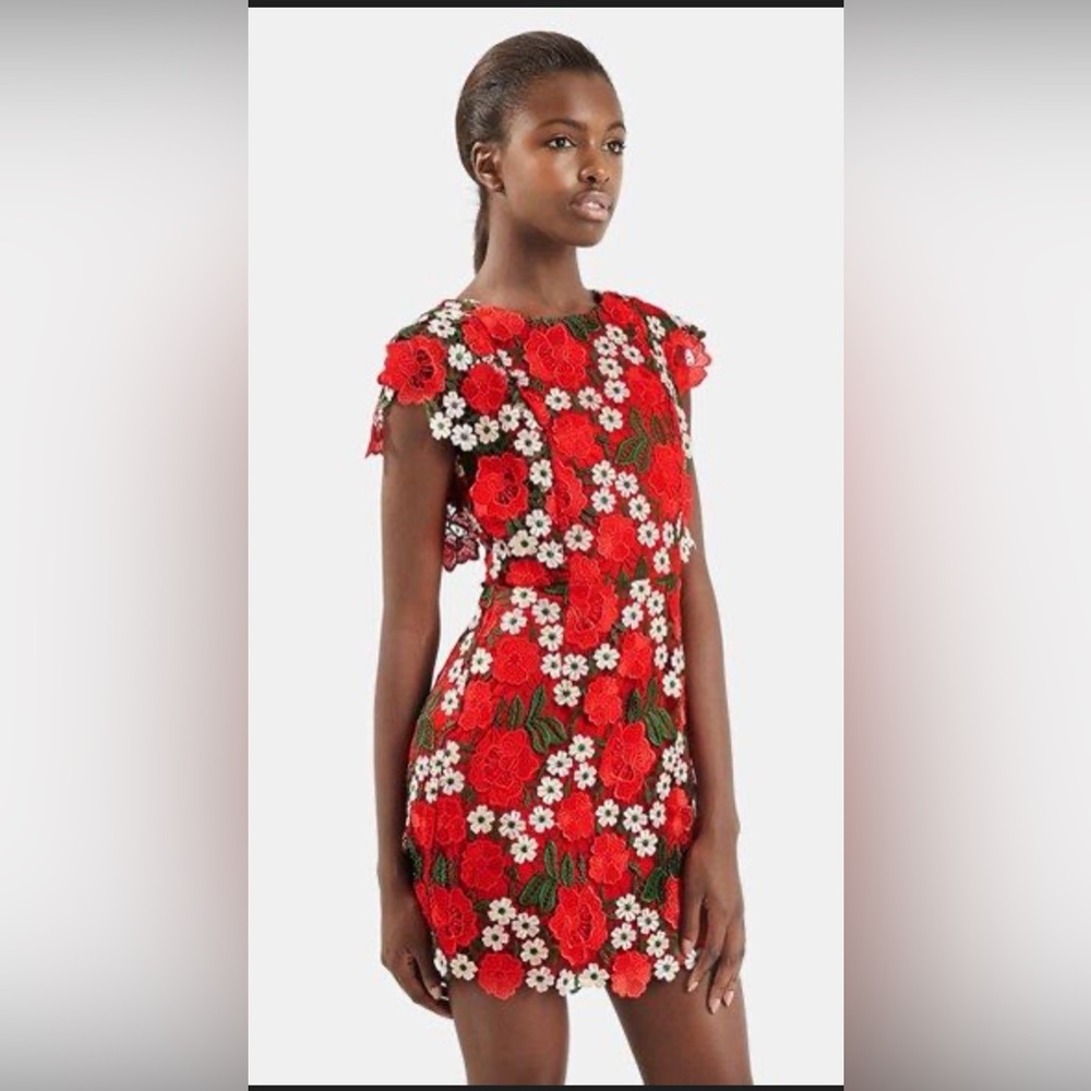 Topshop Red and White Crochet Floral Mini Dress